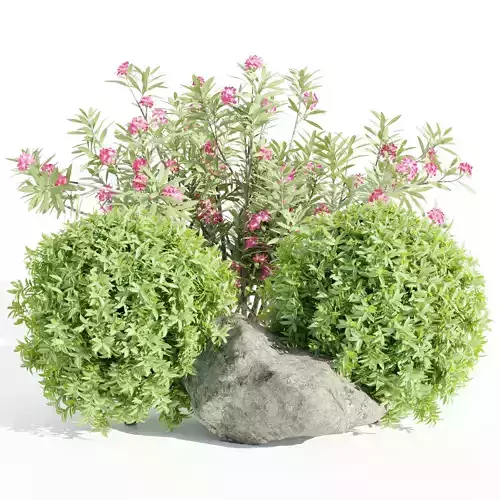 Garden plants collection vol 113-Blender