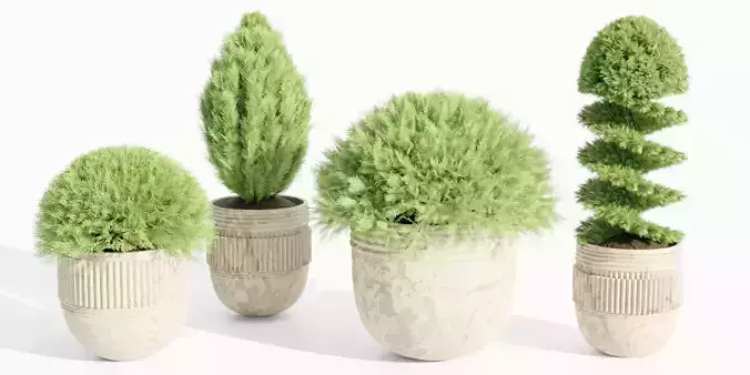 juniper cypress collection vol 114-Blender