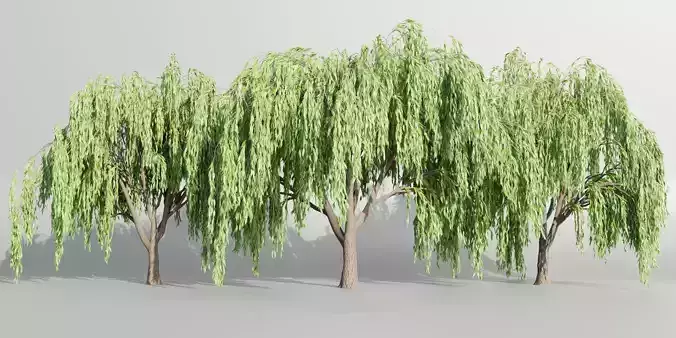 Weeping willow trees collection vol 115-Blender