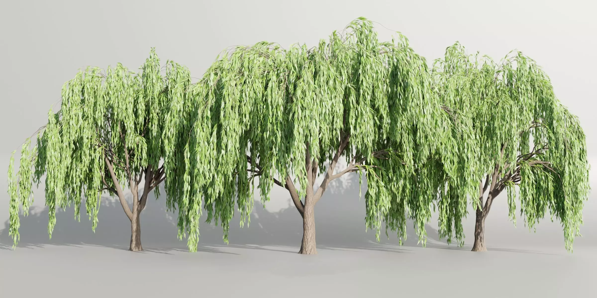 Weeping willow trees collection vol 115-Blender 3D model_0