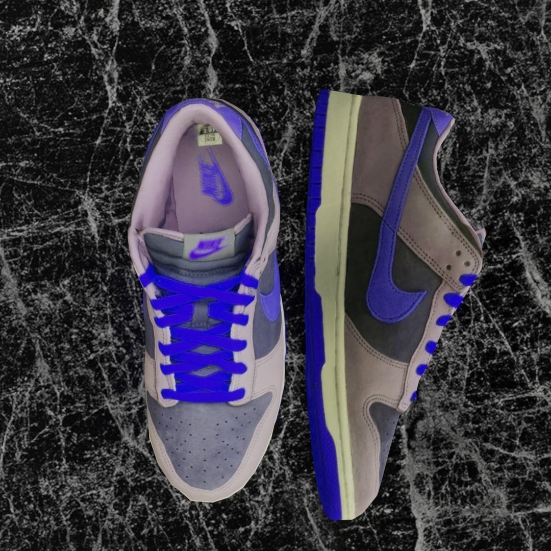 NIKE DUNK 3D SHOES - BLUE Low-poly 3D model_3