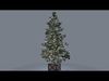 Christmas tree in classic style 3D model_1