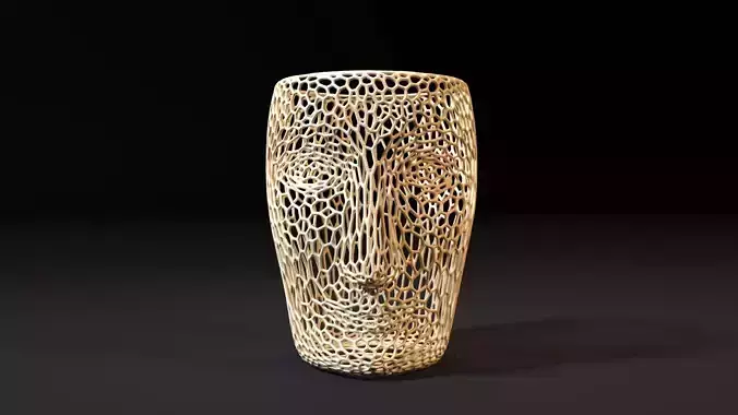 Vase face