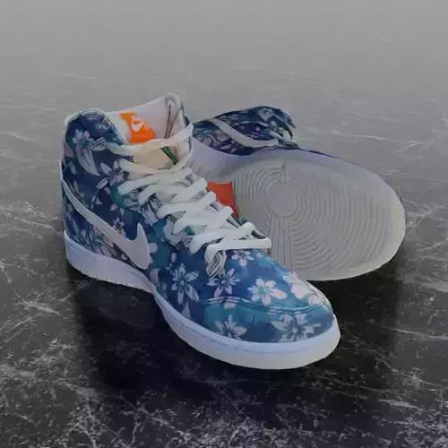 NIKE DUNK HIGH 3D SHOES - HAWAII
