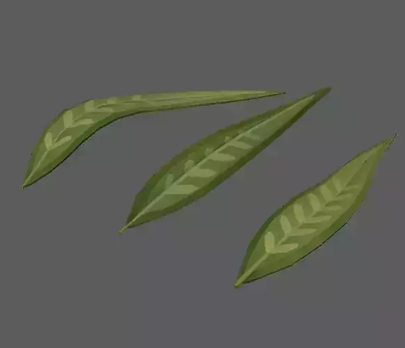 leaves