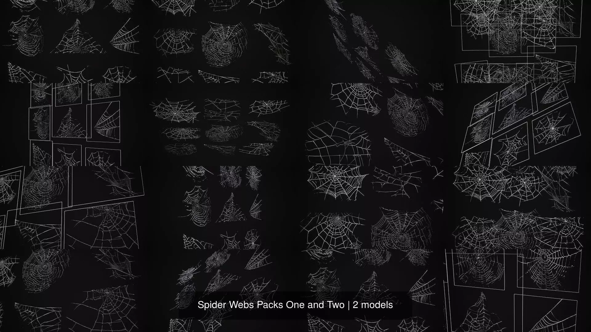 Spider Webs Packs One and Two 3D Model Collection_3
