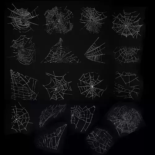 Spider Webs Packs One and Two 3D Model Collection