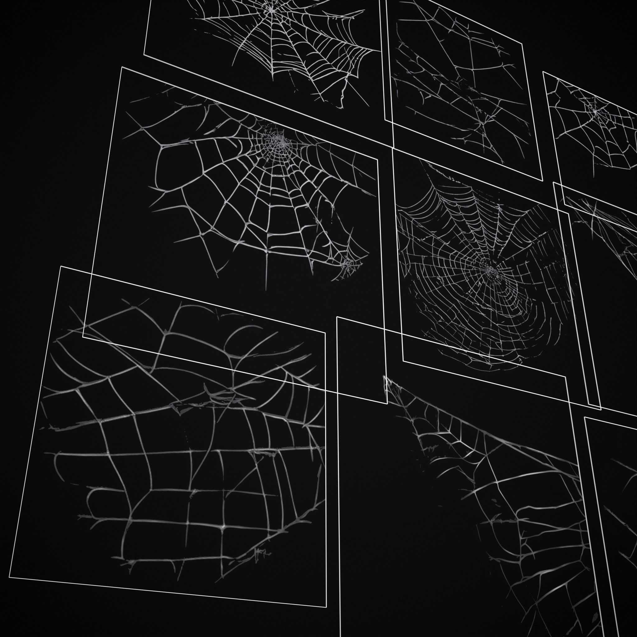 Spider Webs Packs One and Two 3D Model Collection_48