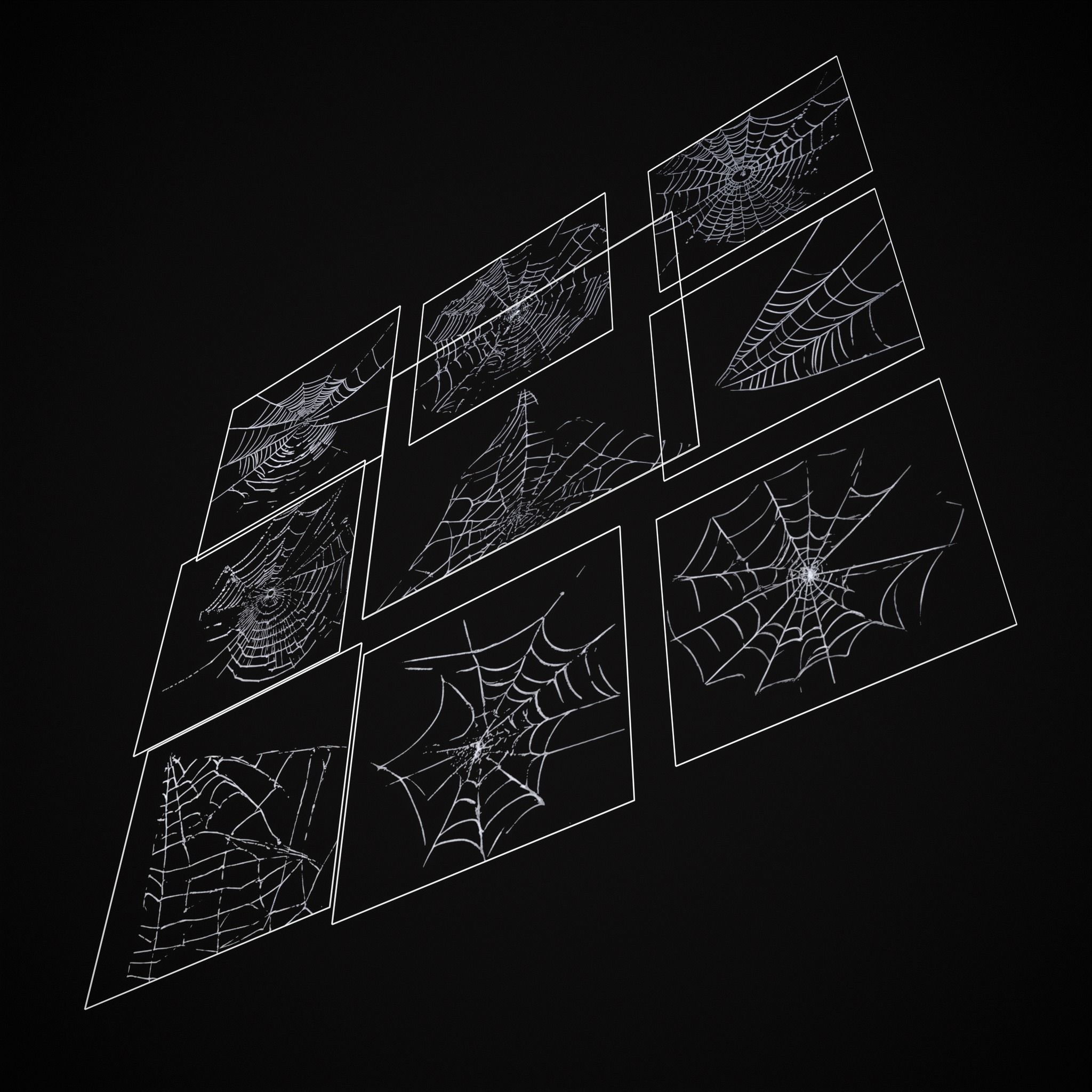 Spider Webs Packs One and Two 3D Model Collection_17