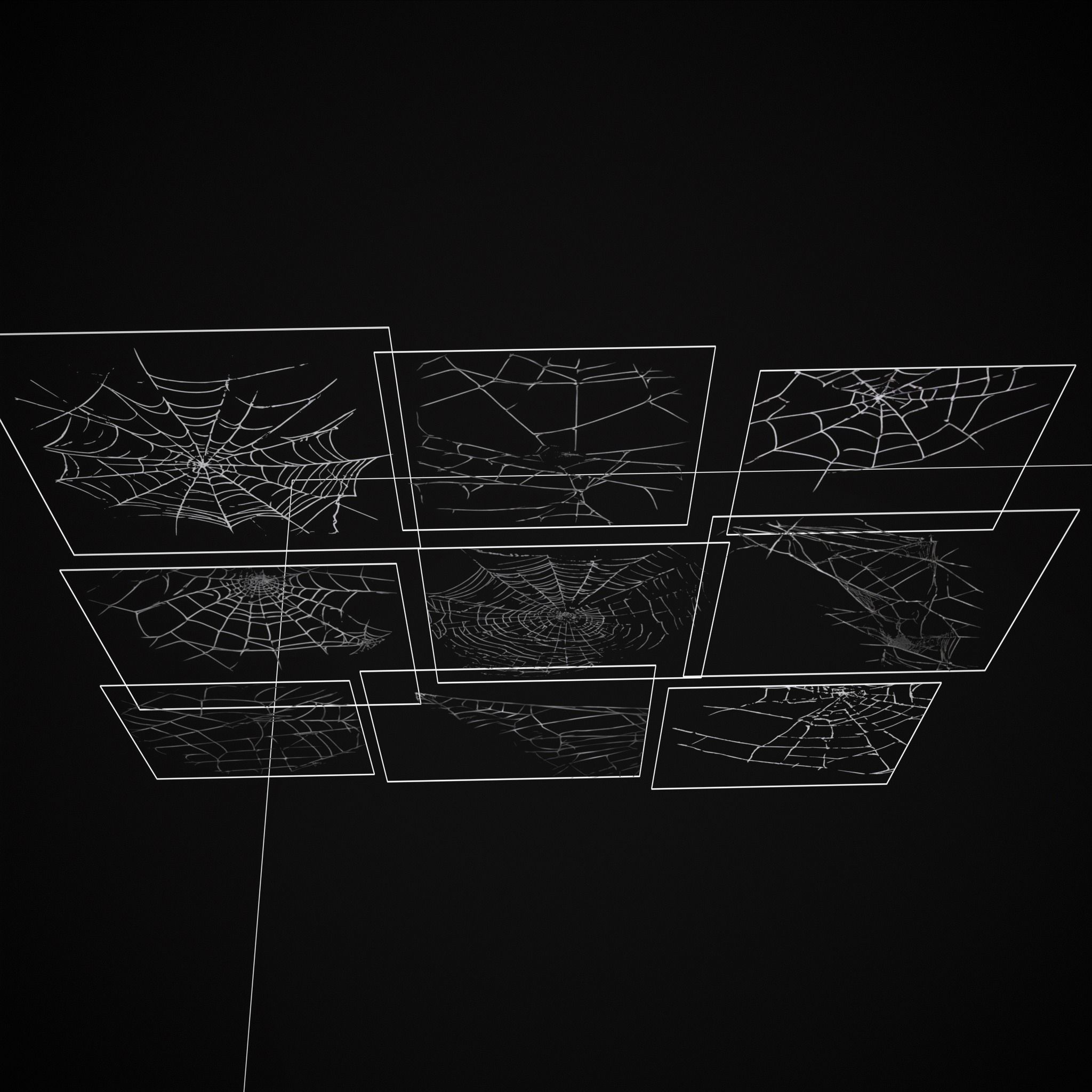 Spider Webs Packs One and Two 3D Model Collection_41