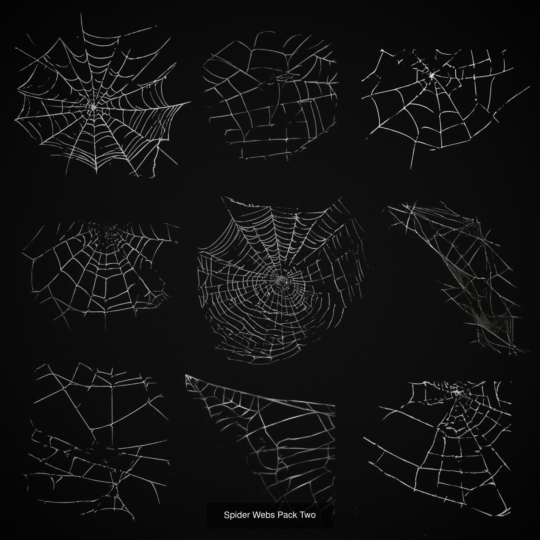 Spider Webs Packs One and Two 3D Model Collection_6
