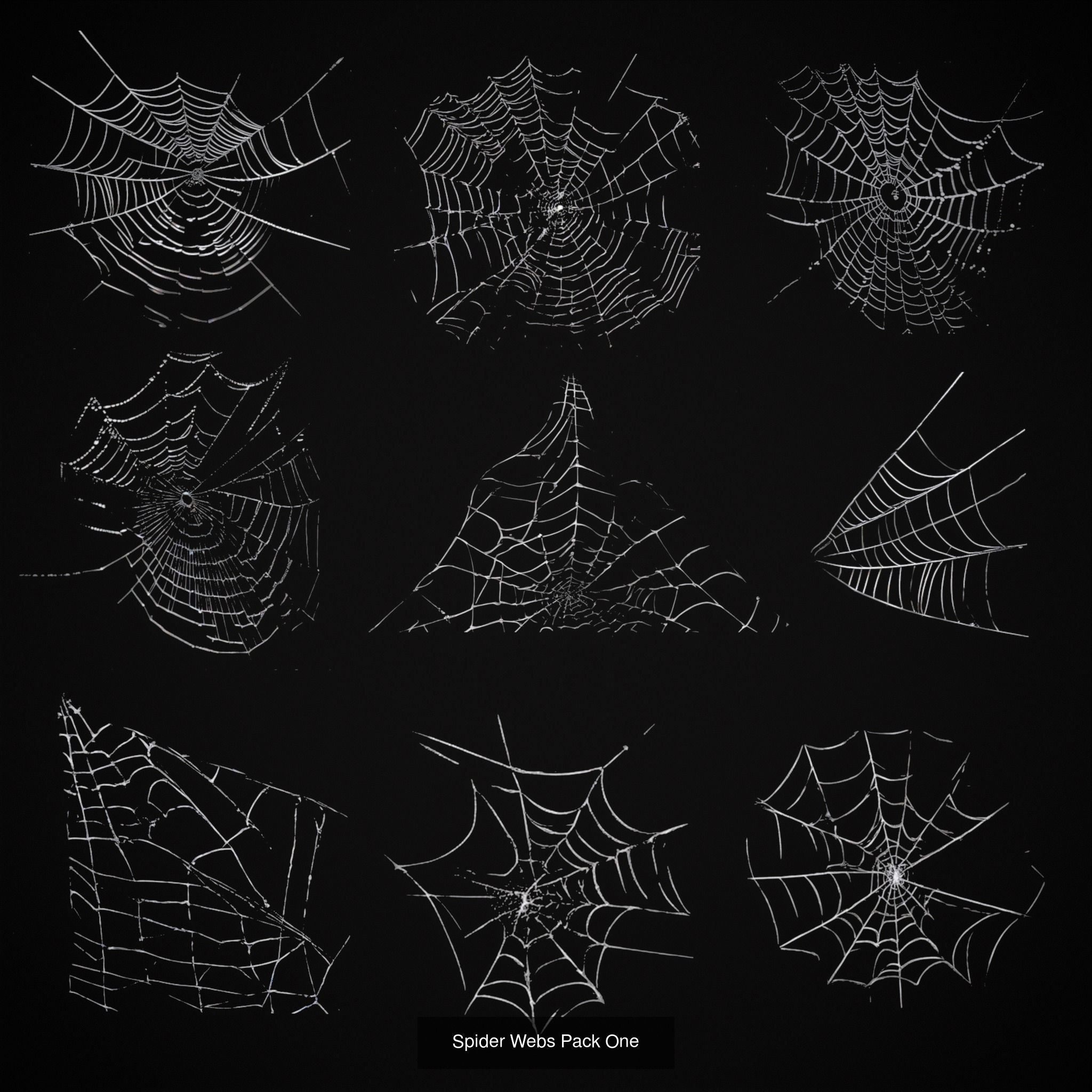 Spider Webs Packs One and Two 3D Model Collection_5