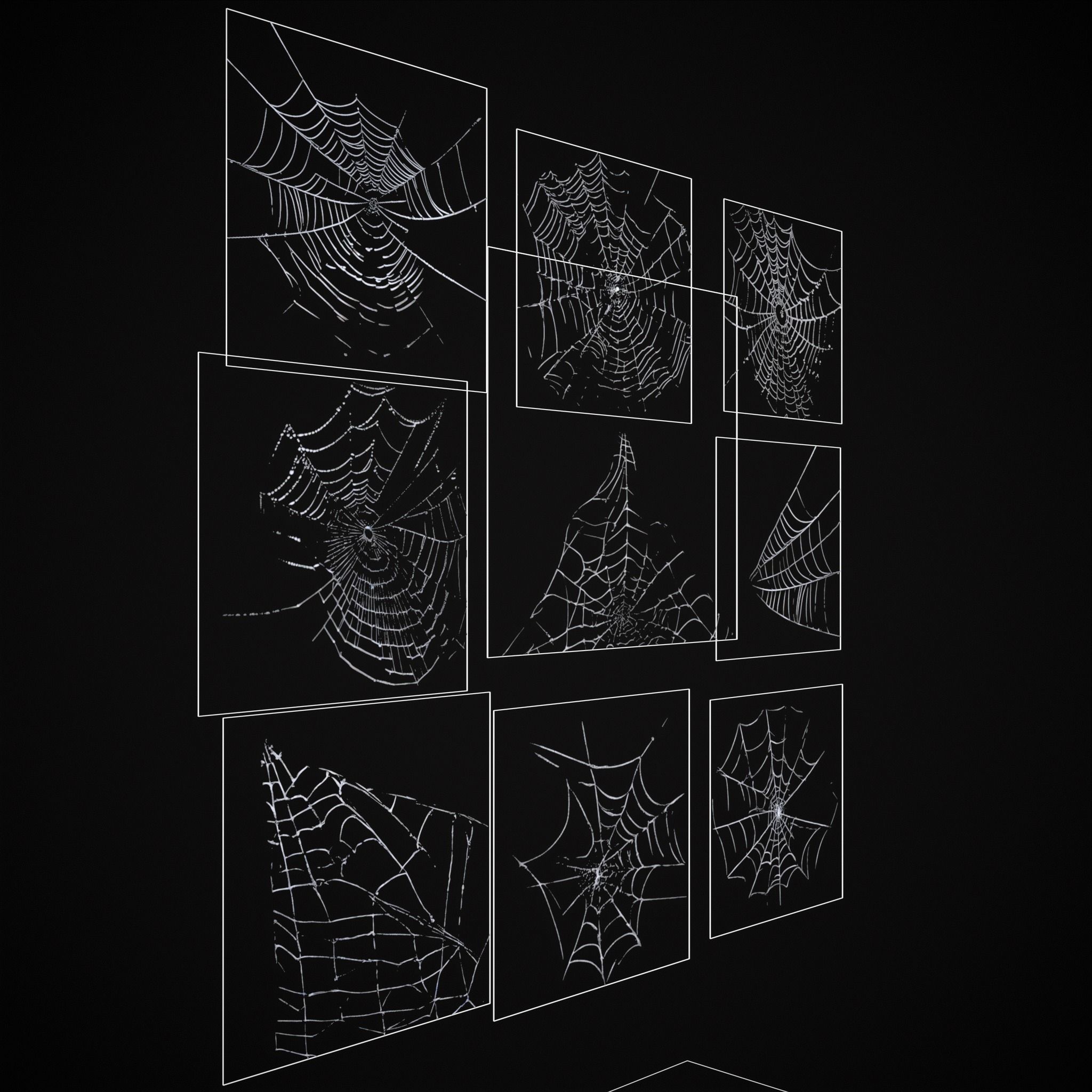 Spider Webs Packs One and Two 3D Model Collection_27