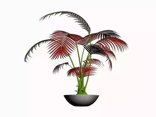  potted plant