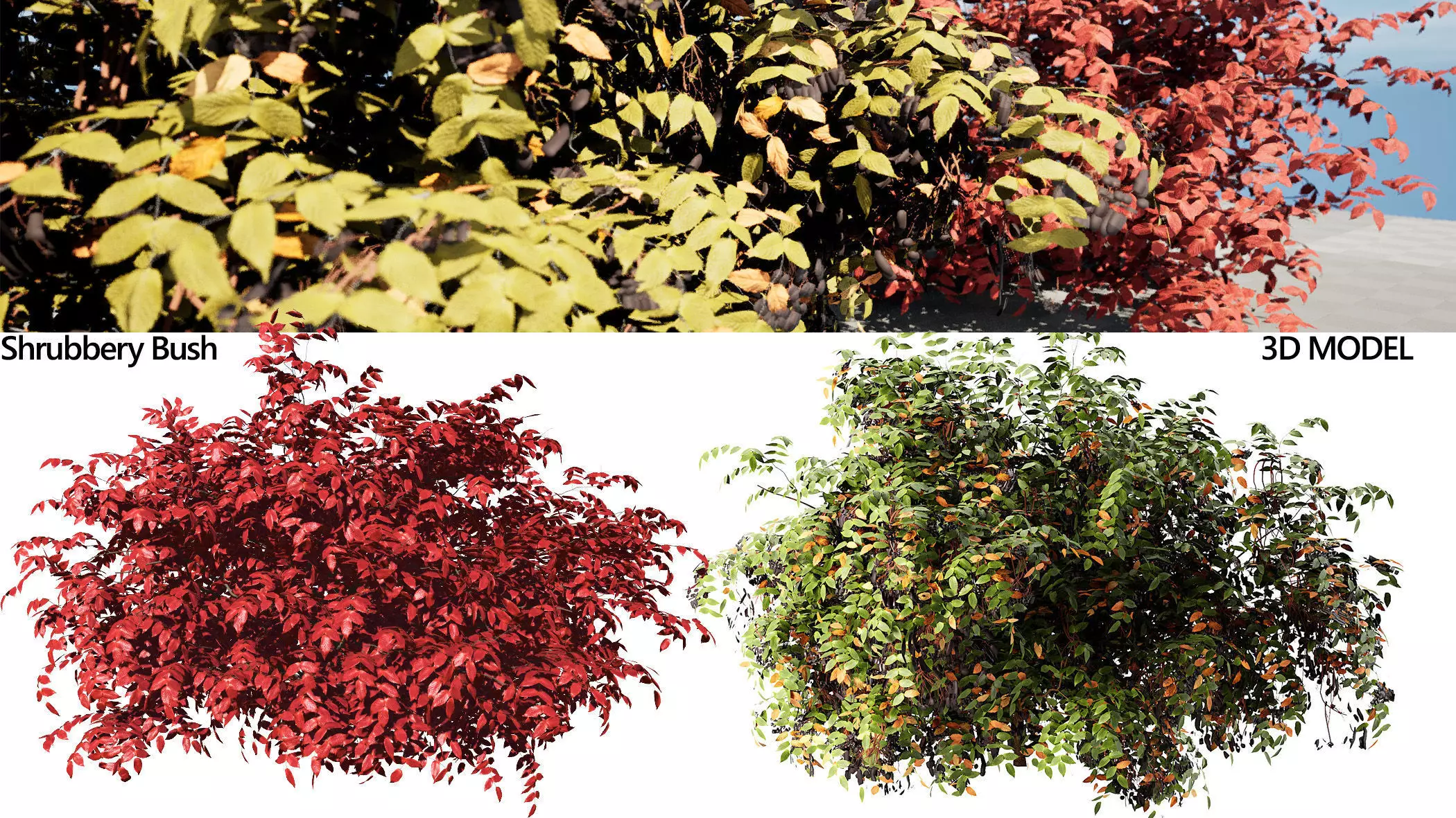 Summer and Burning Shrubbery Bush 3D Model 3D model_0