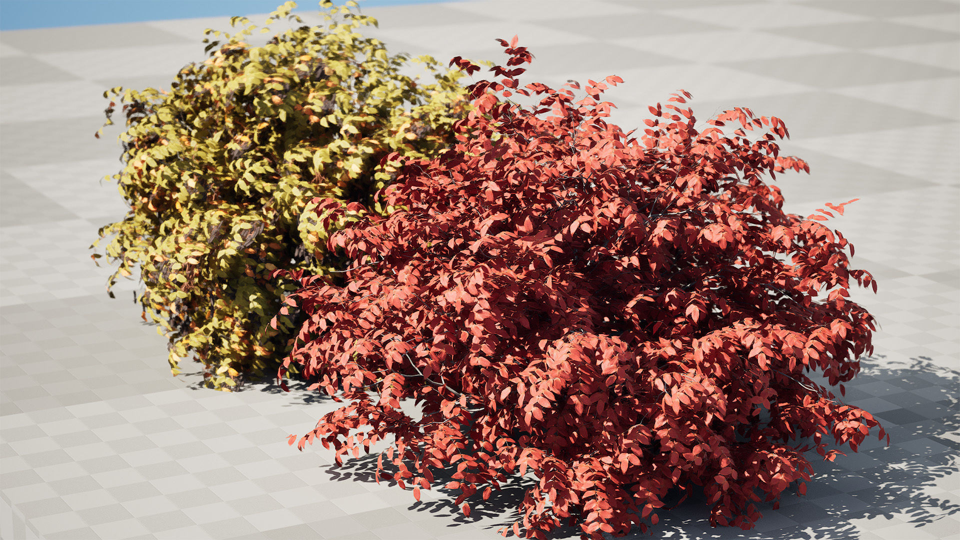 Summer and Burning Shrubbery Bush 3D Model 3D model_8