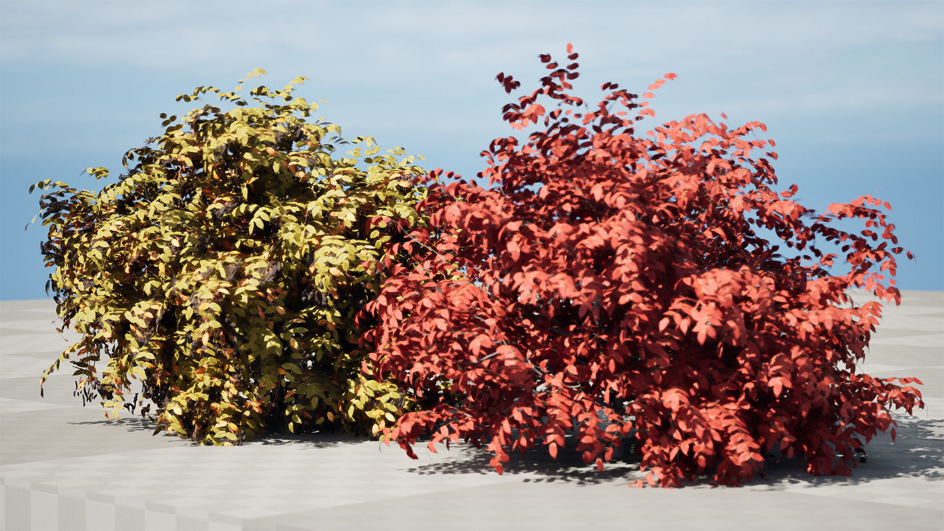 Summer and Burning Shrubbery Bush 3D Model 3D model_6