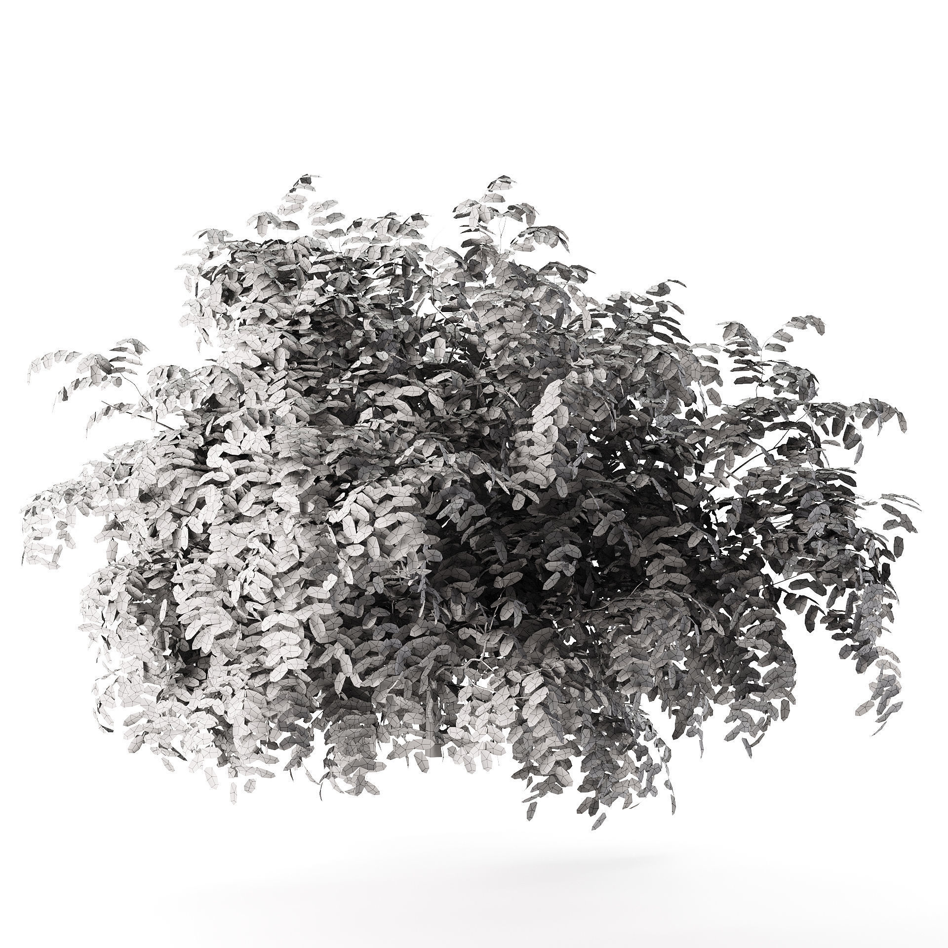 Summer and Burning Shrubbery Bush 3D Model 3D model_4
