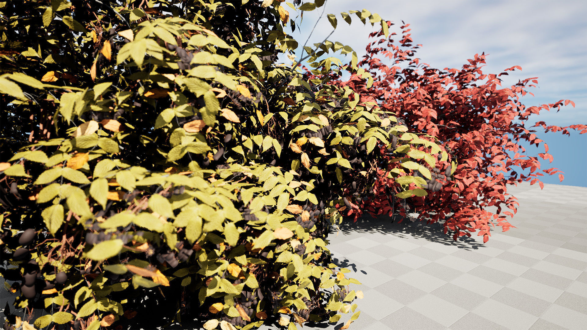 Summer and Burning Shrubbery Bush 3D Model 3D model_5