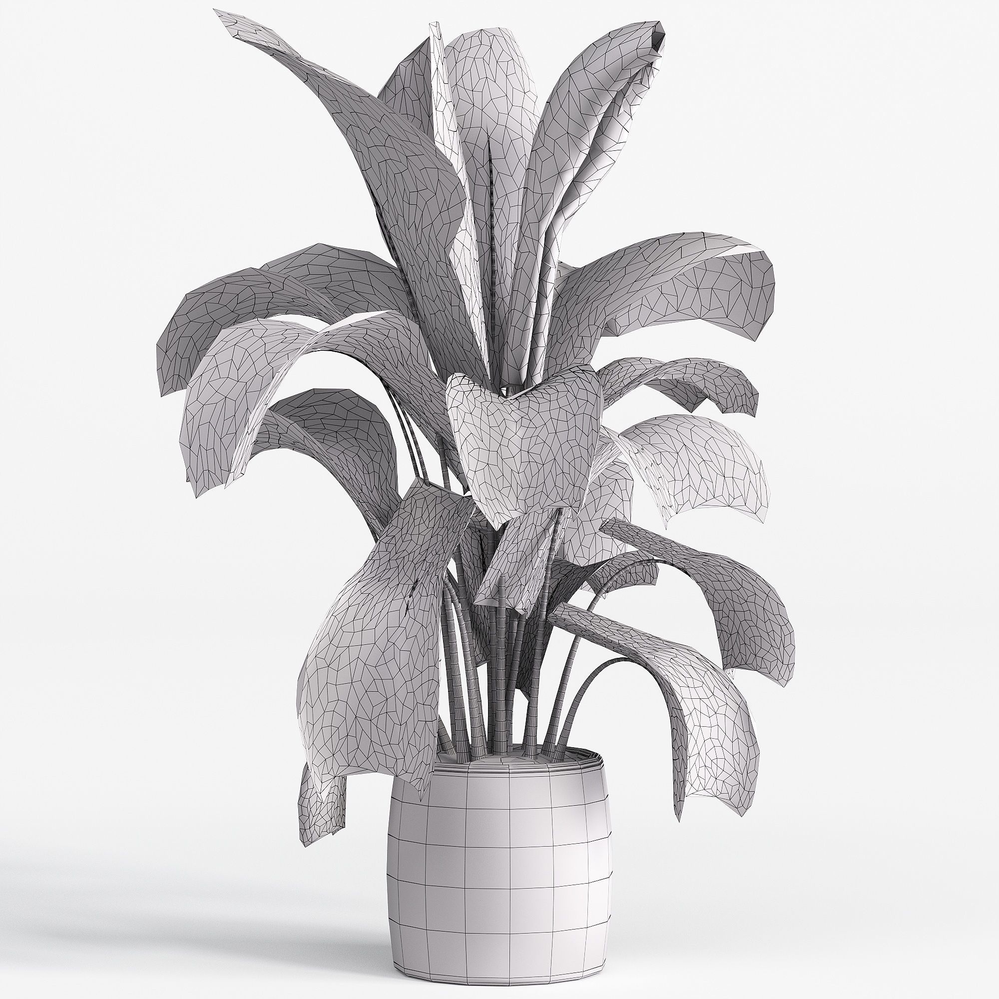 Indoor plant set 05 Low-poly 3D model_3