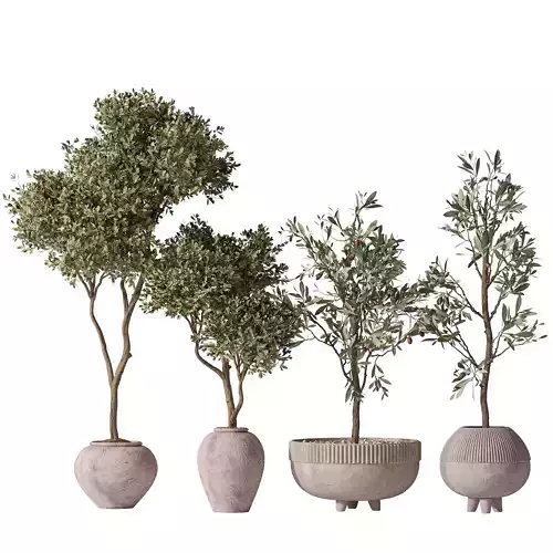 Mission Olive Tree Indoor Vase 06 3D model