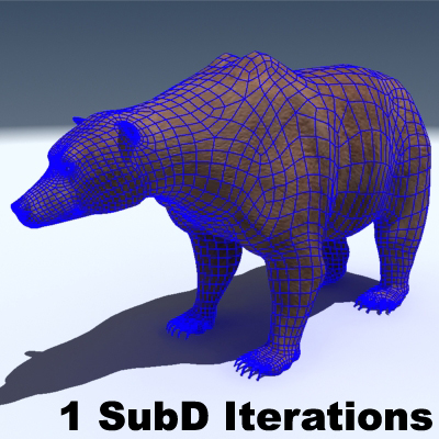 Grizzly Bear 3D model_11