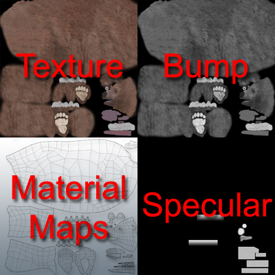 Grizzly Bear 3D model_12