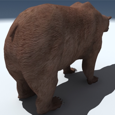 Grizzly Bear 3D model_5