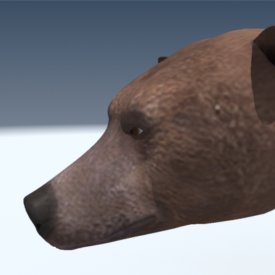 Grizzly Bear 3D model_9