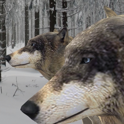 Textured Low Poly Wolf 3D model_4