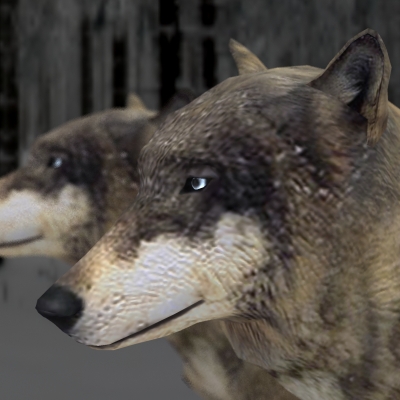 Textured Low Poly Wolf 3D model_5