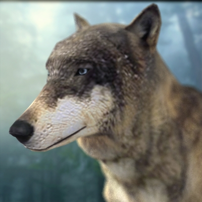 Textured Low Poly Wolf 3D model_1