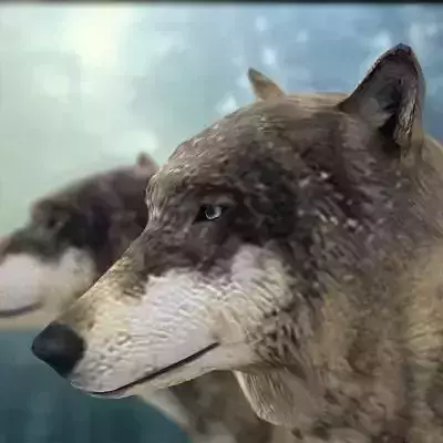 Textured Low Poly Wolf 3D model Textured Low Poly Wolf 3D model