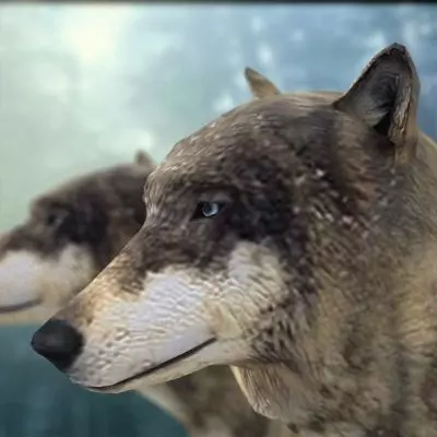 Textured Low Poly Wolf 3D model_0