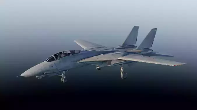 F-14 Tomcat Fighter Jet