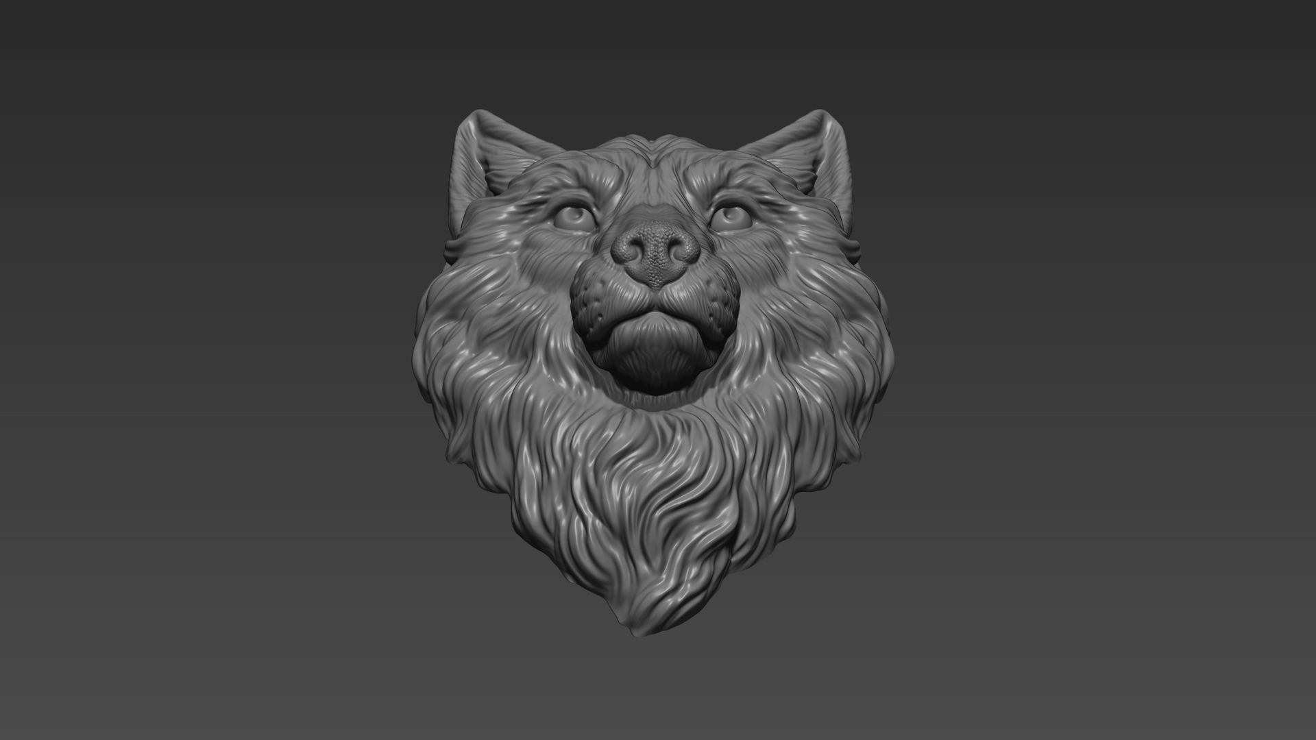 Wolf grim head  3D print model_3