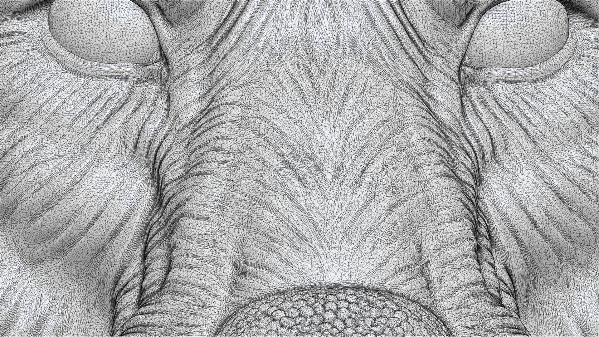 Wolf grim head  3D print model_19