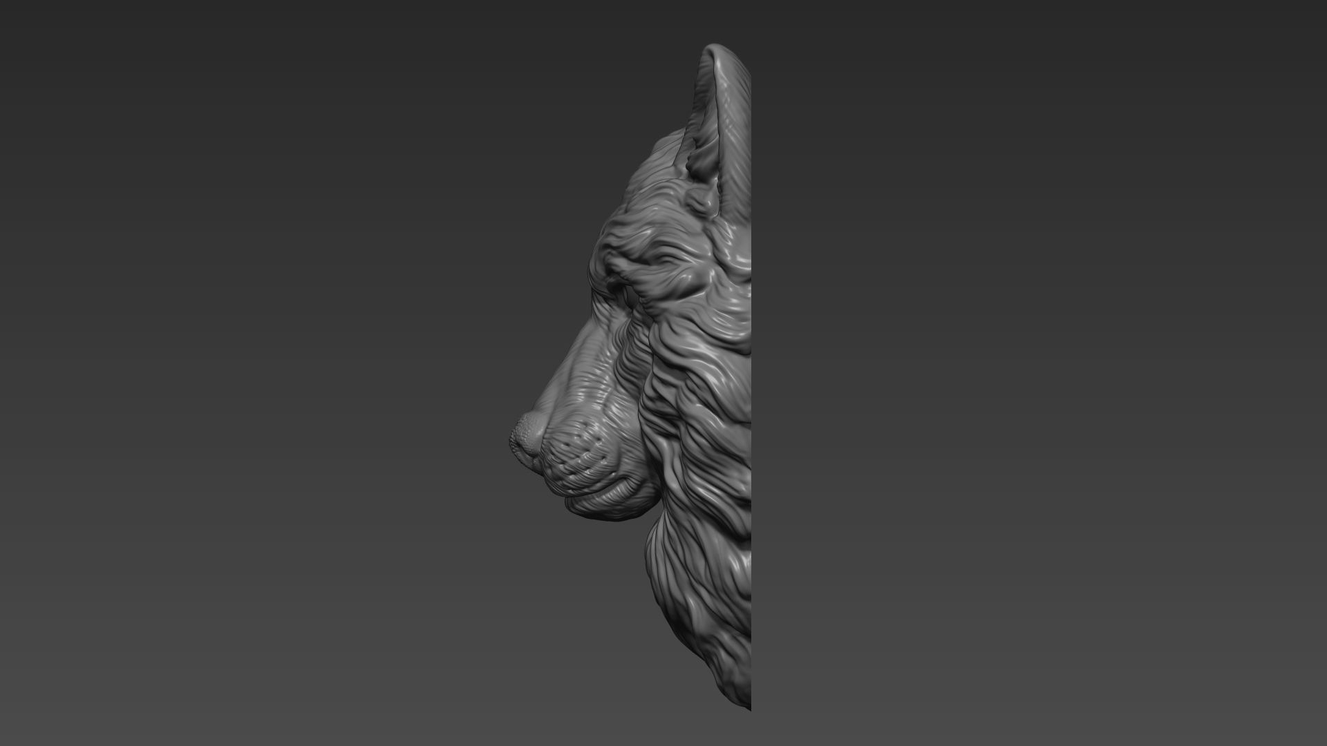 Wolf grim head  3D print model_6