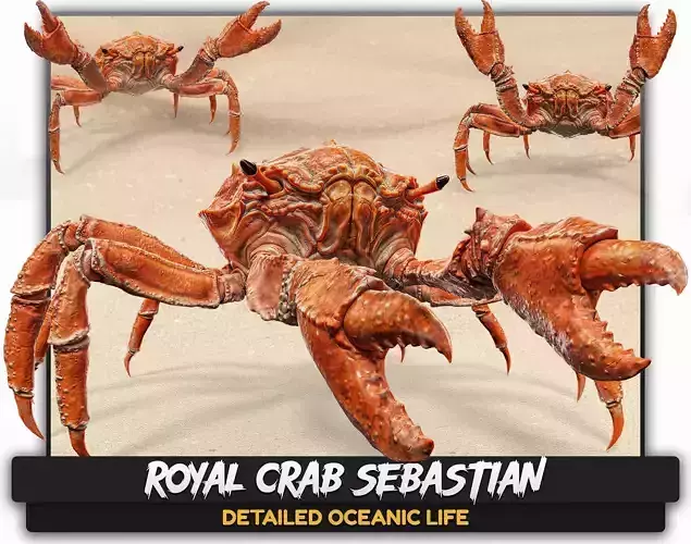 Royal Crab - King Sebastian - Realistic Rigged Animated - 18 Low-poly 3D model
