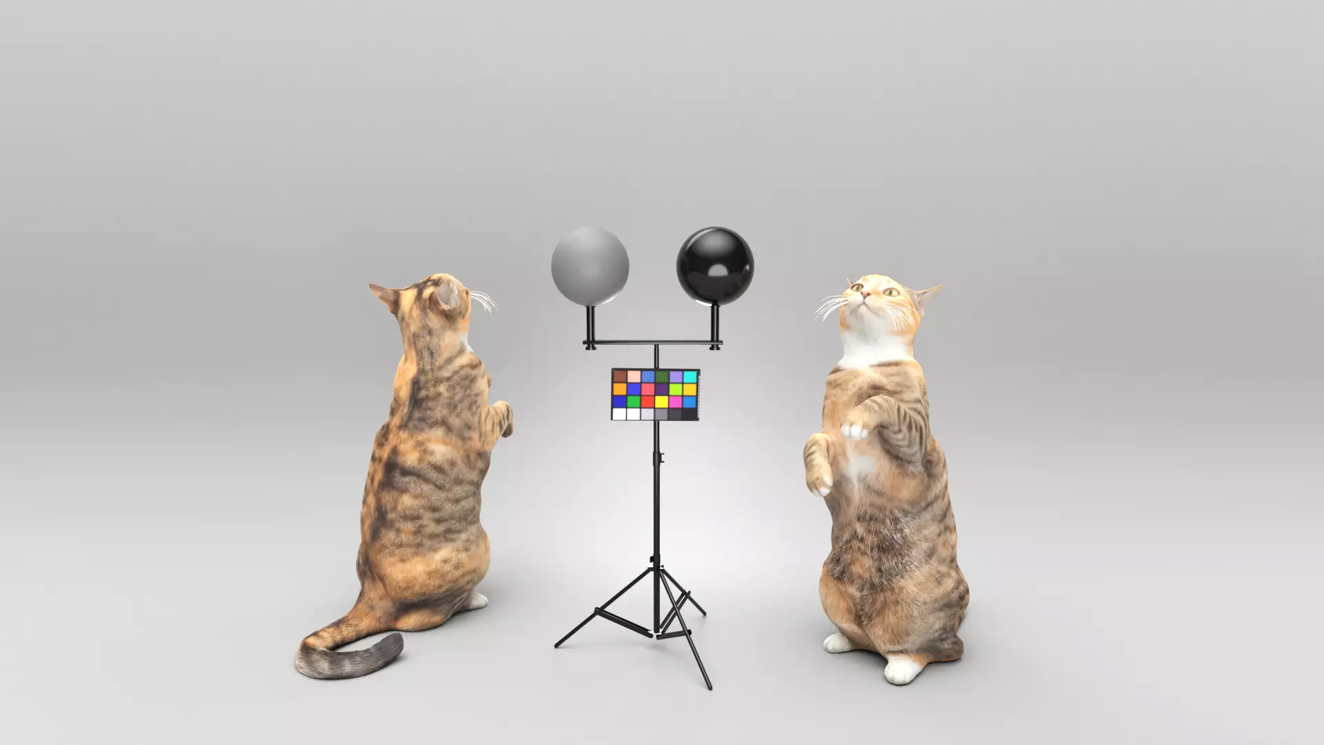 Playful cat 41 Low-poly 3D model