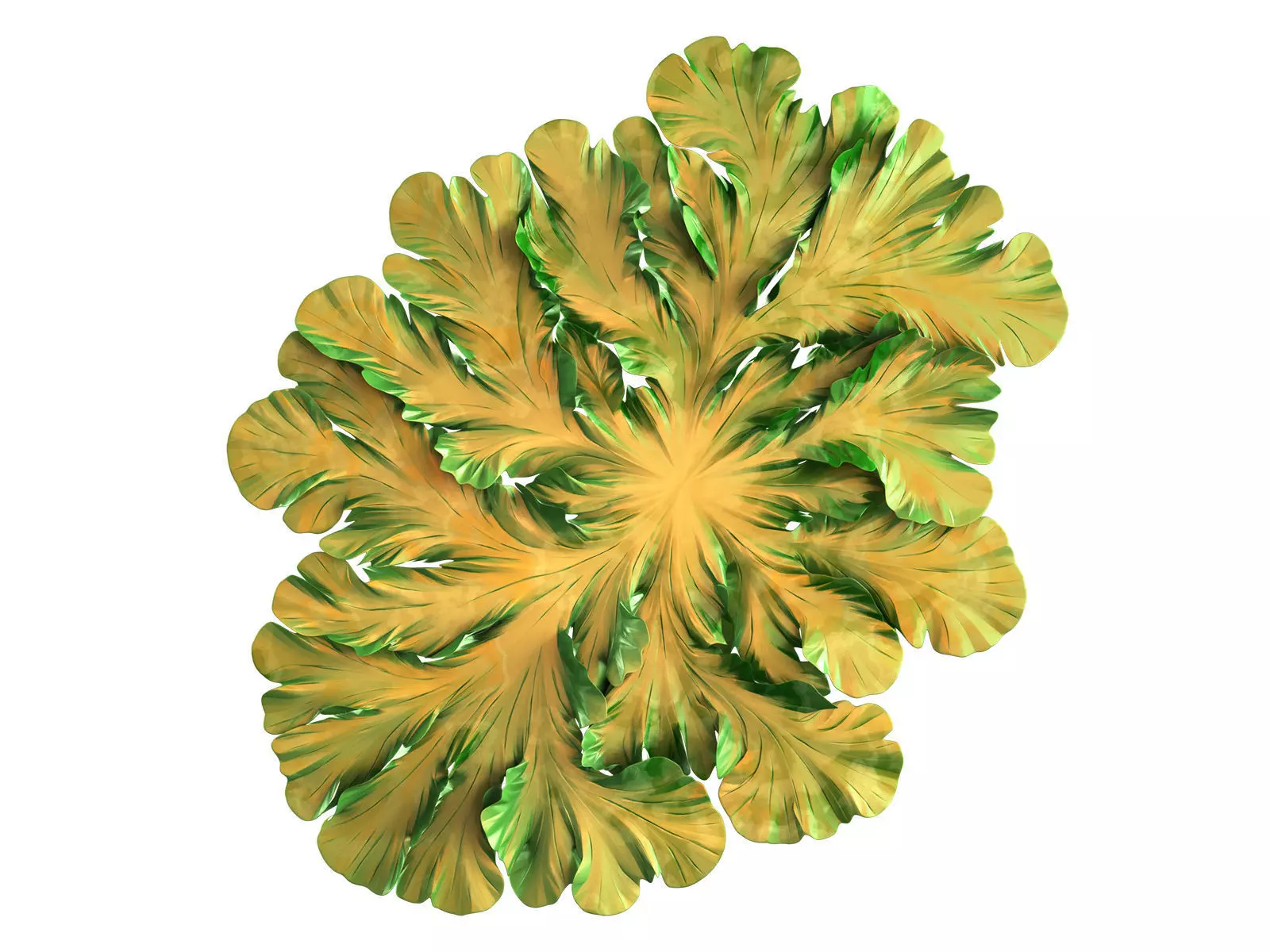 Fungus Mold Growing 3D model_0