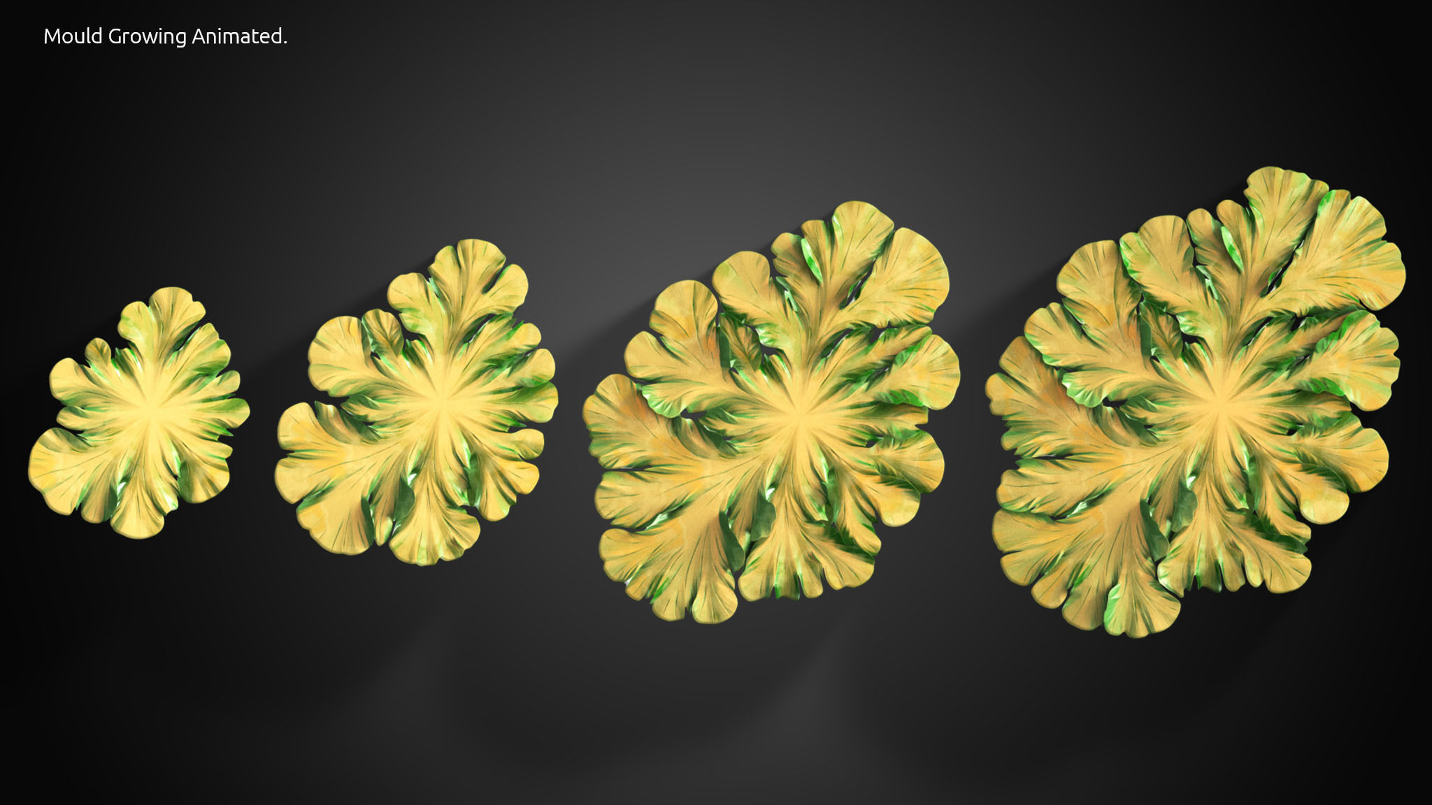 Fungus Mold Growing 3D model_2