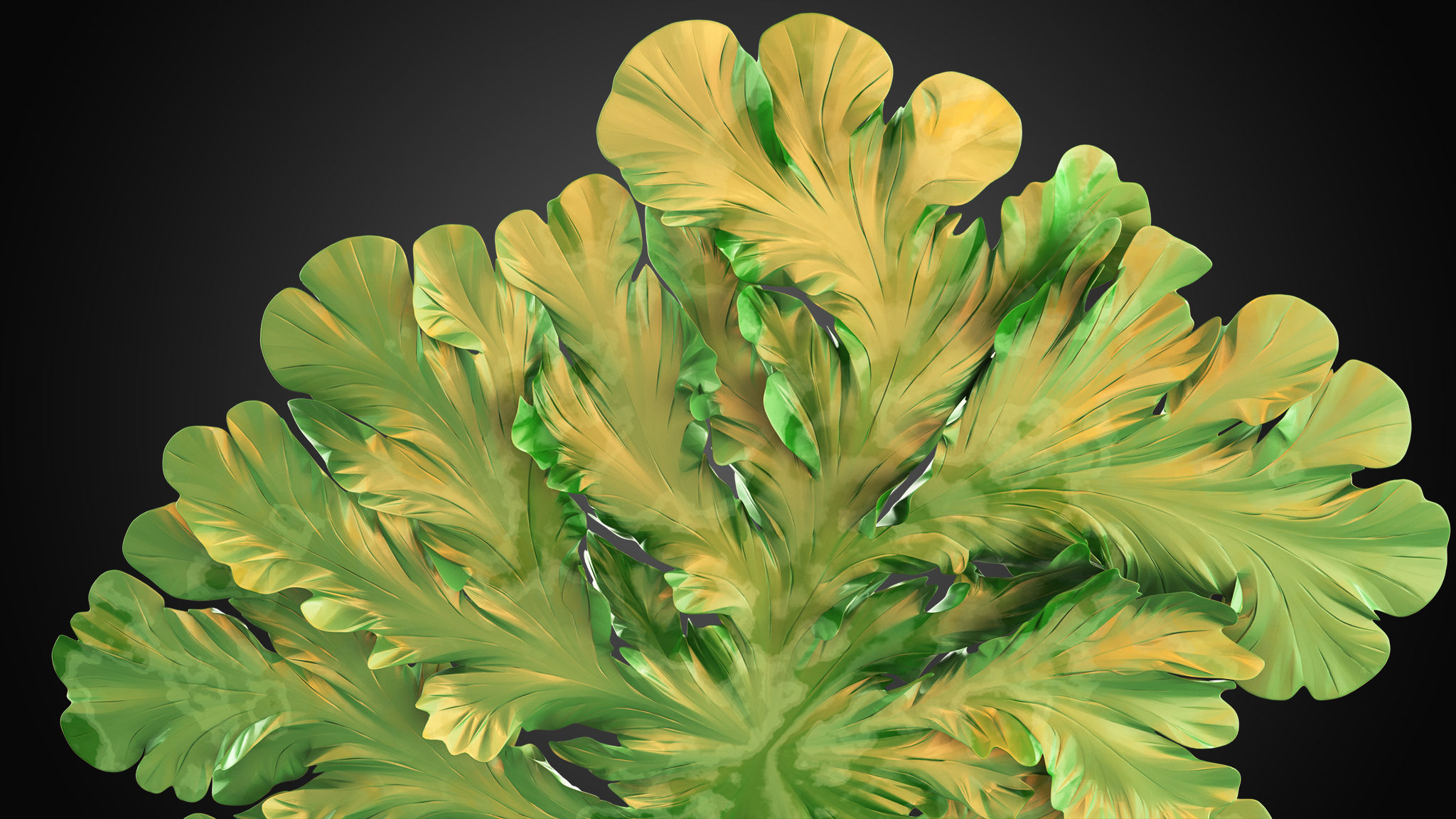 Fungus Mold Growing 3D model_6