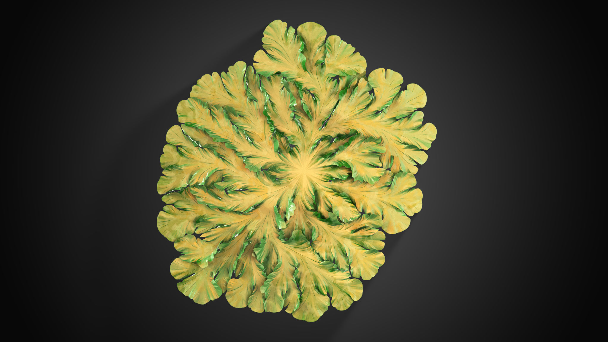 Fungus Mold Growing 3D model_4