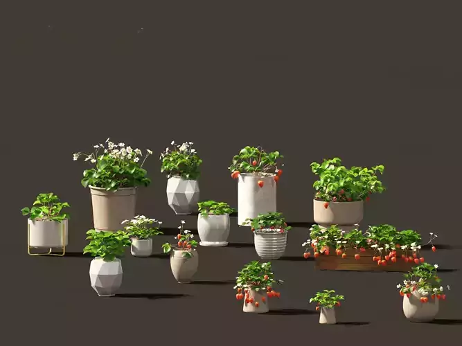 Fragaria - woodland strawberry 01 3D model