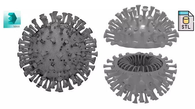 Printable Coronavirus Solid and Cross-Section 3D print model