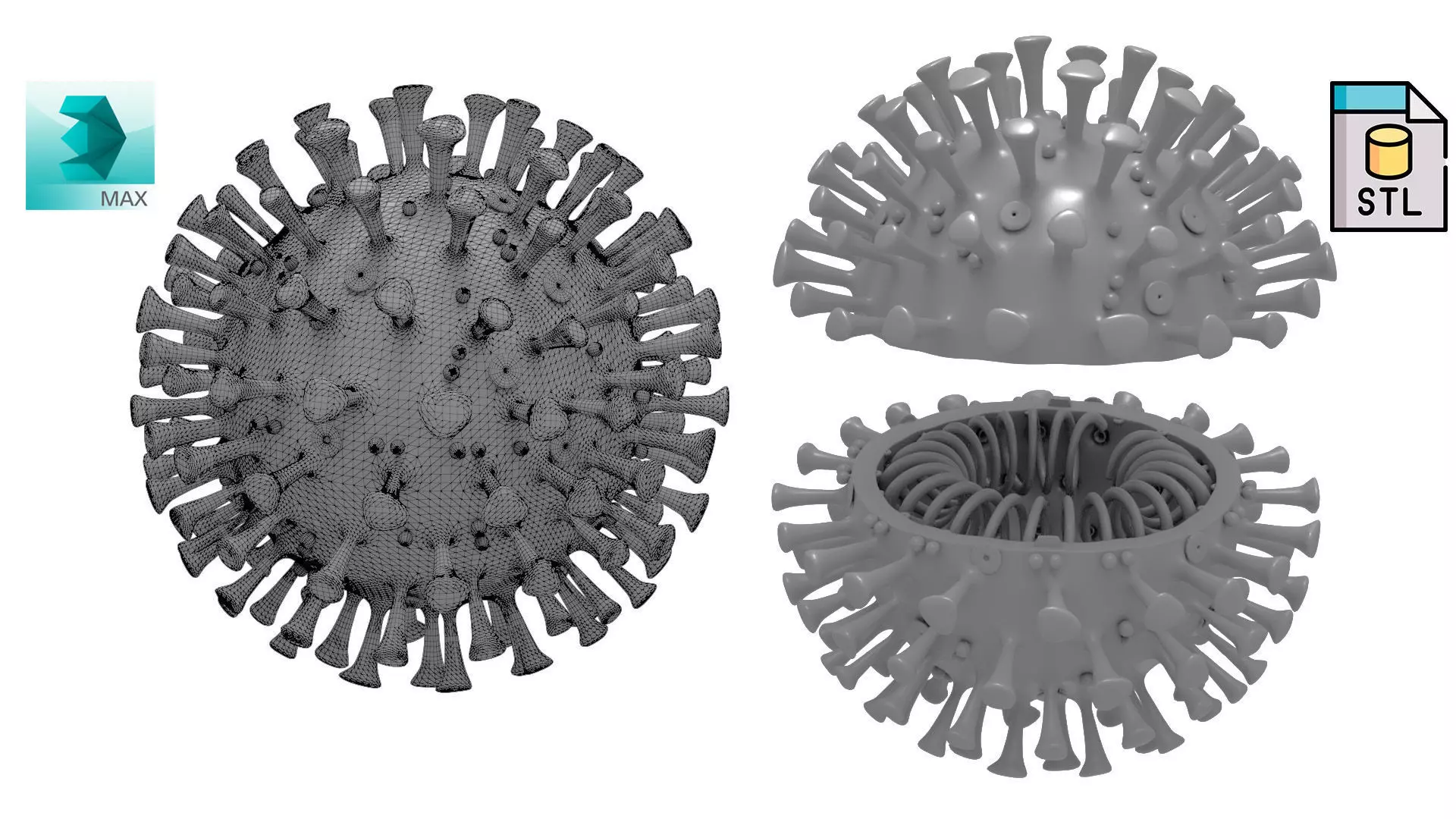 Printable Coronavirus Solid and Cross-Section 3D print model_0