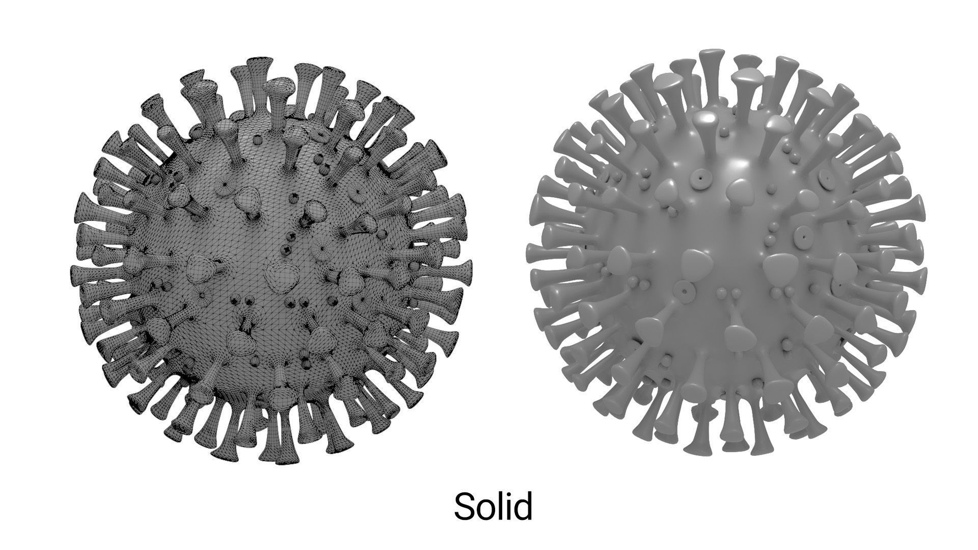 Printable Coronavirus Solid and Cross-Section 3D print model_3