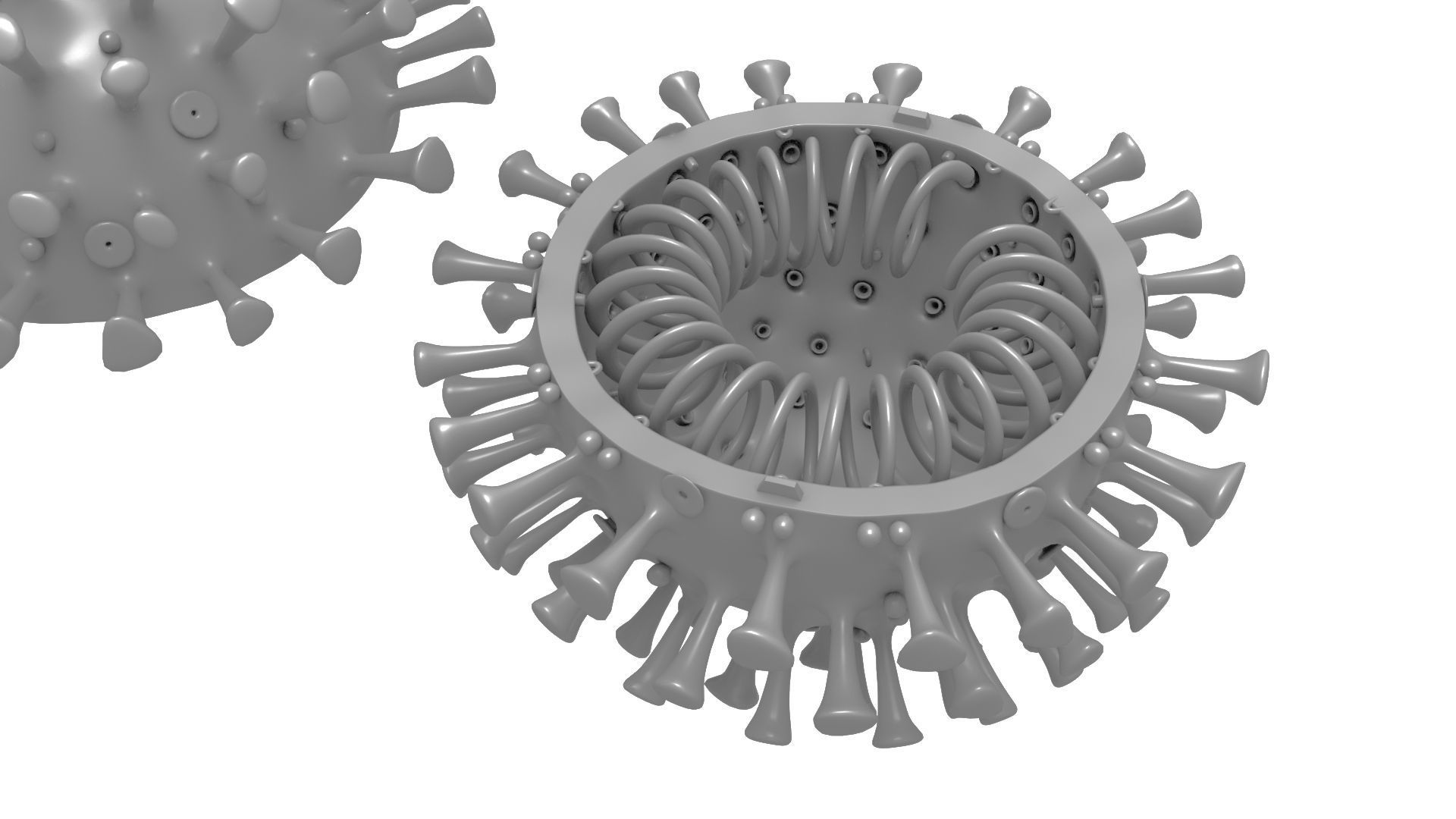 Printable Coronavirus Solid and Cross-Section 3D print model_5