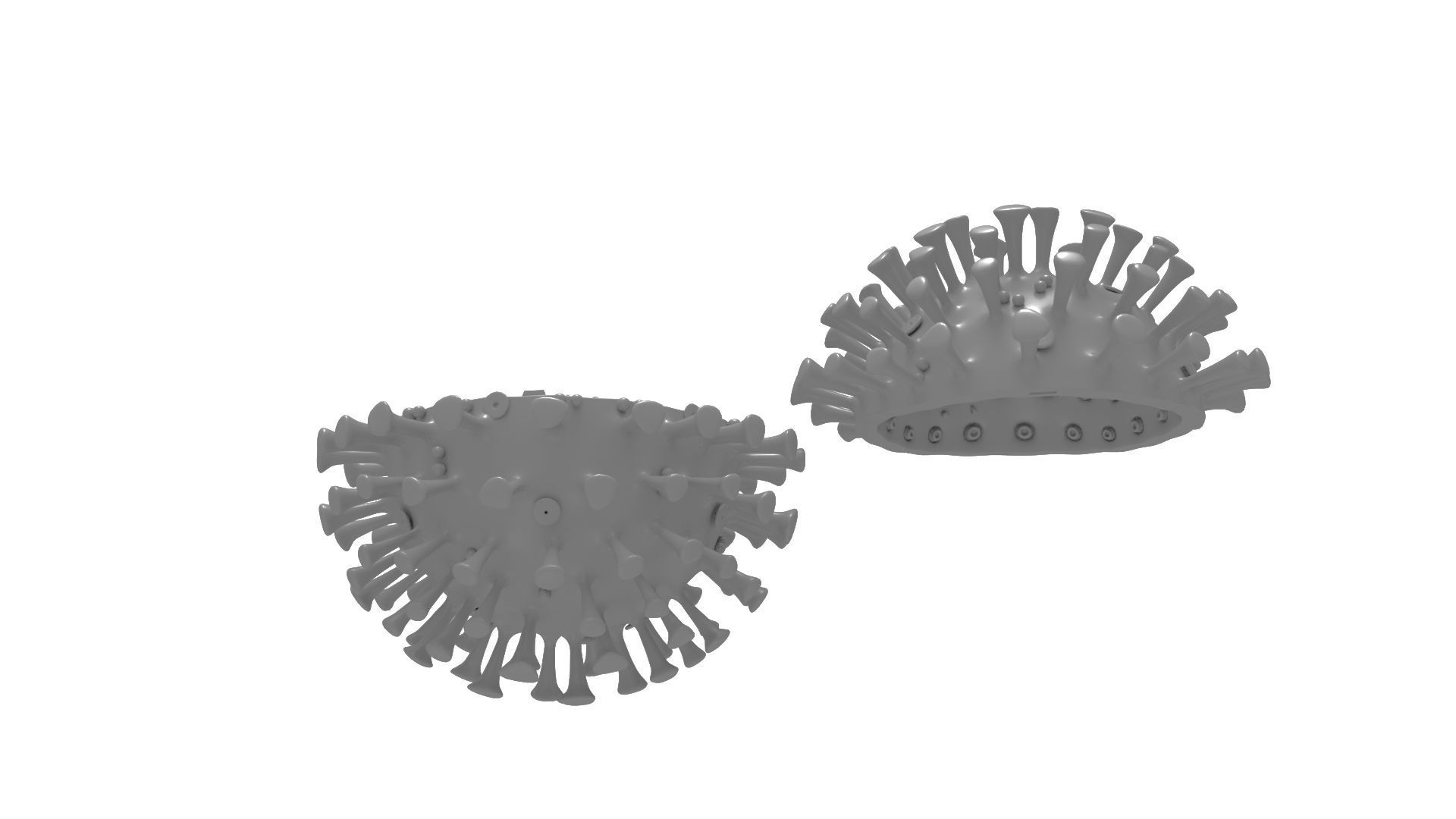 Printable Coronavirus Solid and Cross-Section 3D print model_7